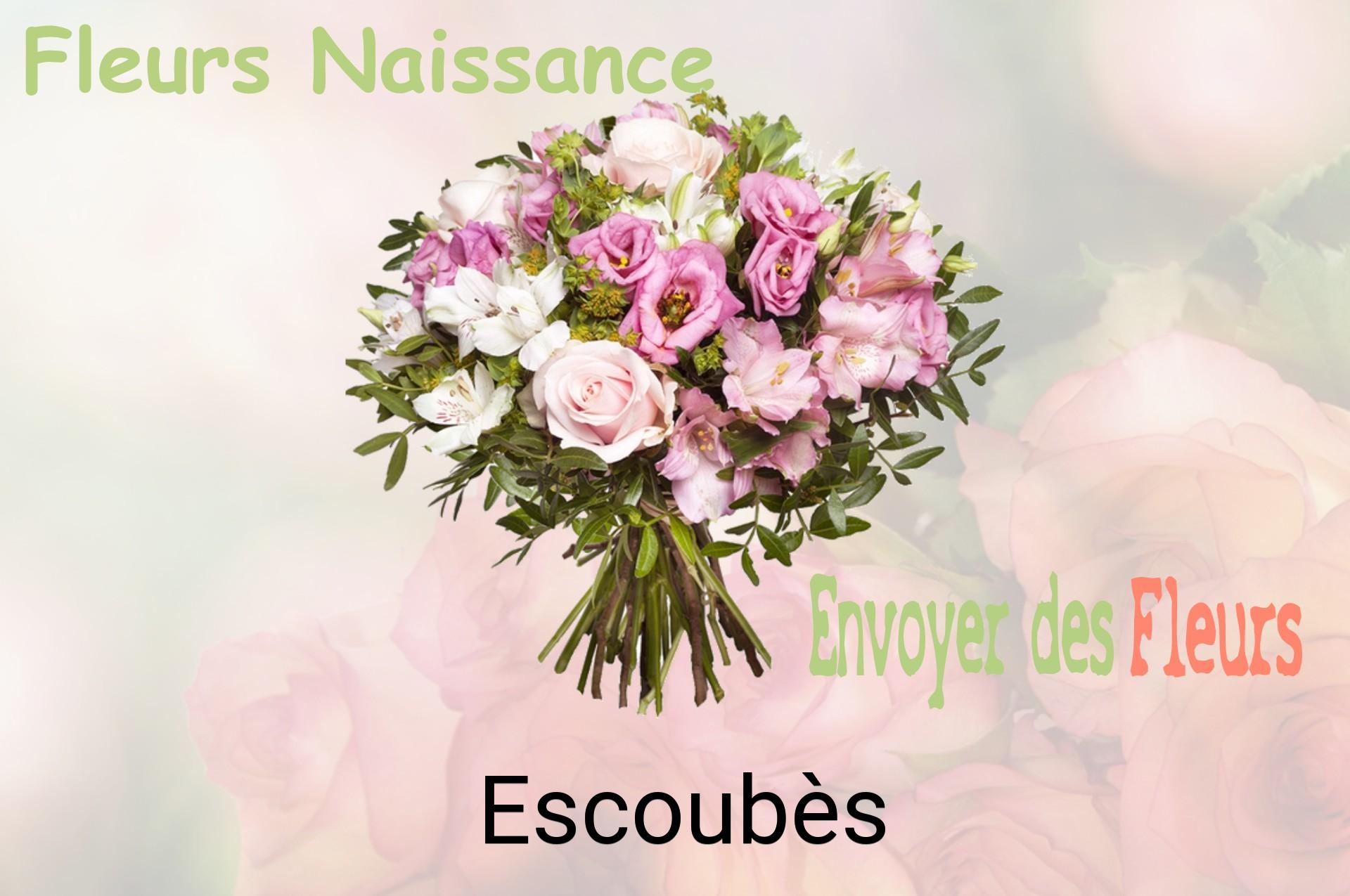 Bouquet de fleurs de naissance livré à Escoubès